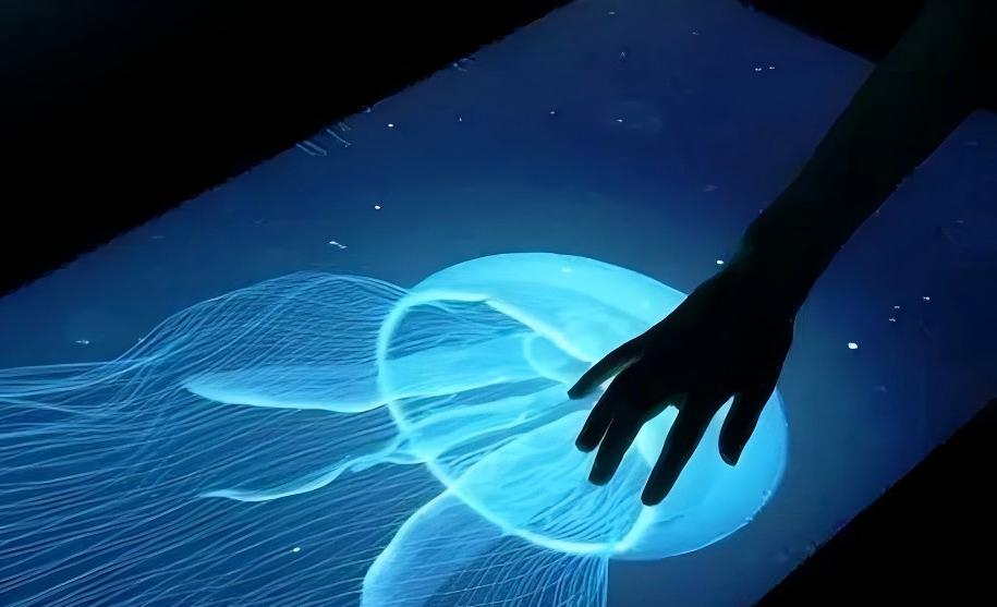 Future of Touchscreens
